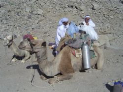 Loading up for a Camel Dive Safari to Gabr el Bint south ... by Ryan Stafford 